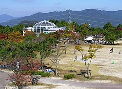 広島市森林公園 なっちゃんの遊び場ネット