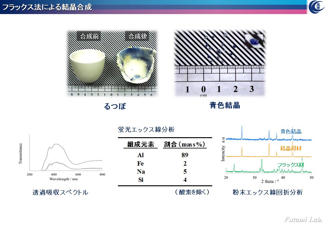 Research Text Futami Lab