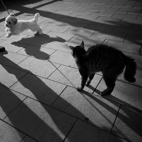 _DSC1631 by ezoiwana