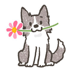 ボーダーコリー イラストスタンプ その1 Lineスタンプ Fukuyu