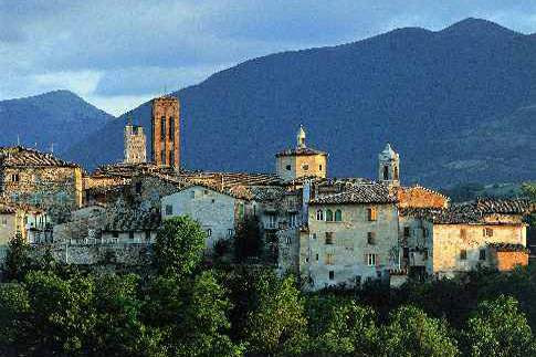 Risultati immagini per immagini matelica