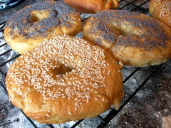 Plain bagels with toppings