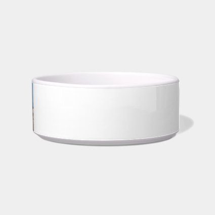 Seagulls standing on beach eye level cat bowls