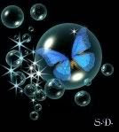 butterfly globe Pictures, Images and Photos