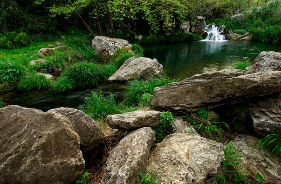 thehomeissue_limni05