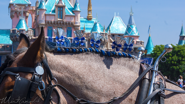 Disneyland Resort, Disneyland, Disneyland60, Horse, Decoration, Decorate, Decor