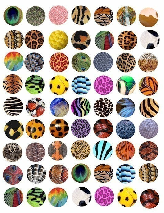 animal patterns in art. patterns clip art collage