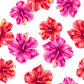 マルチカラーはいびすかす No 499 多色ハイビスカスの壁紙用イラスト 条件付フリー素材集 スマホなど携帯電話対応