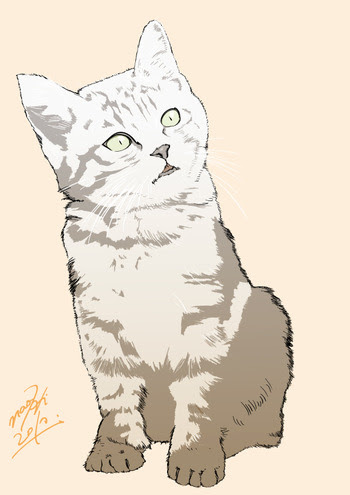 7エキサイティングなパーツの出席猫の描き方リア 猫の描き方リアル
