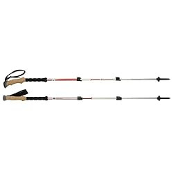 Black Diamond Trail Ergo Cork Trekking Pole