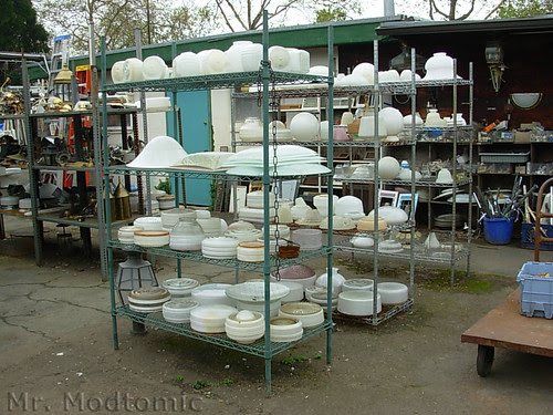 DSCN6736