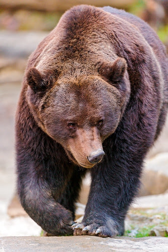 画像素材なら 無料 フリー写真素材のフリーフォト