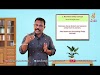 KITE VICTERS Video Classes XI Accountancy - Chapter 2