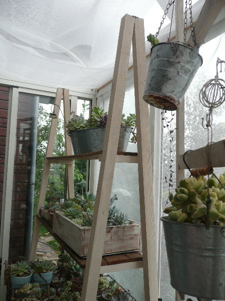 多肉棚の作り方 しっぽのしあわせ