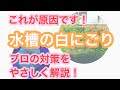 選択した画像 水槽 白濁り 活性炭 307549