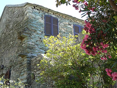 maison fleurie centuri.jpg