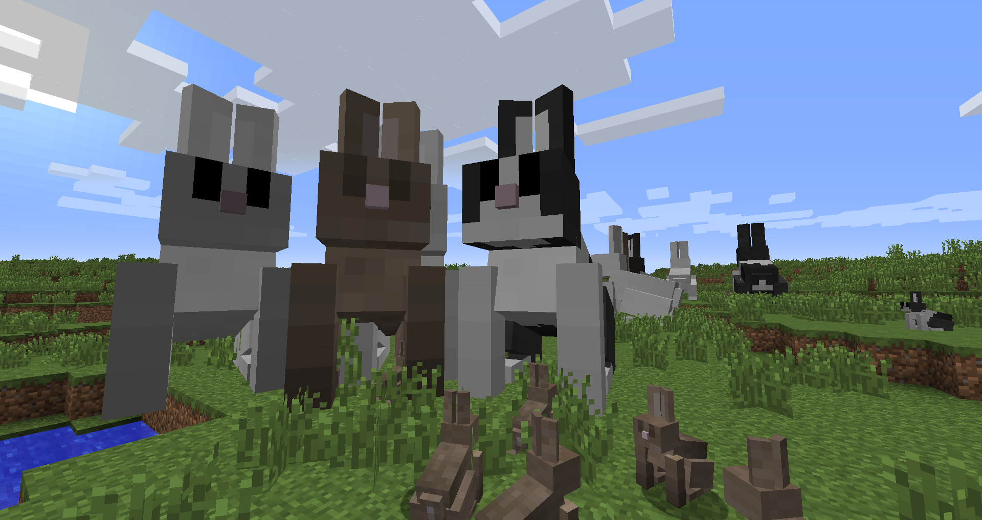 Run Giant Bunnies Just For Fun Minecraft