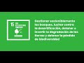 CONCURSO DE RECOGIDA DE RESIDUOS - Trabajo de ODS15