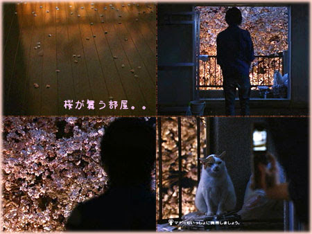 ほくほく てくてく 桜が舞う部屋 Au Cm 嵐の もし僕らが 嵐でなかったら