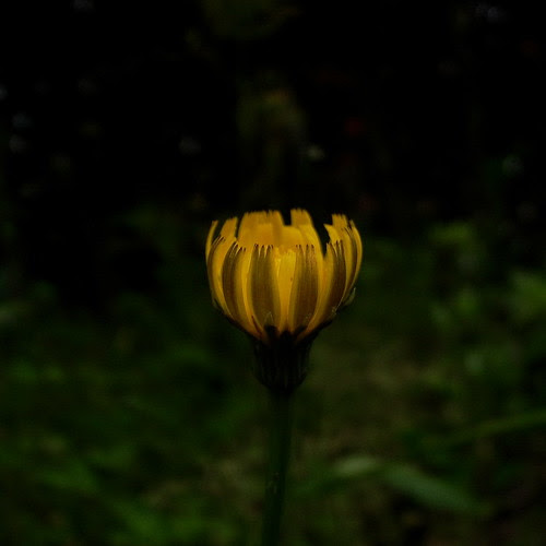 R0011273