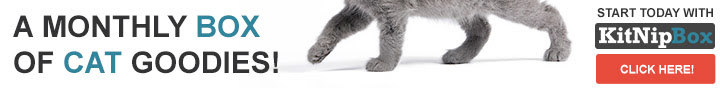 A monthly box of fun toys, healthy treats, and other goodies for your cat!