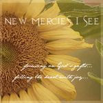 New Mercies I See