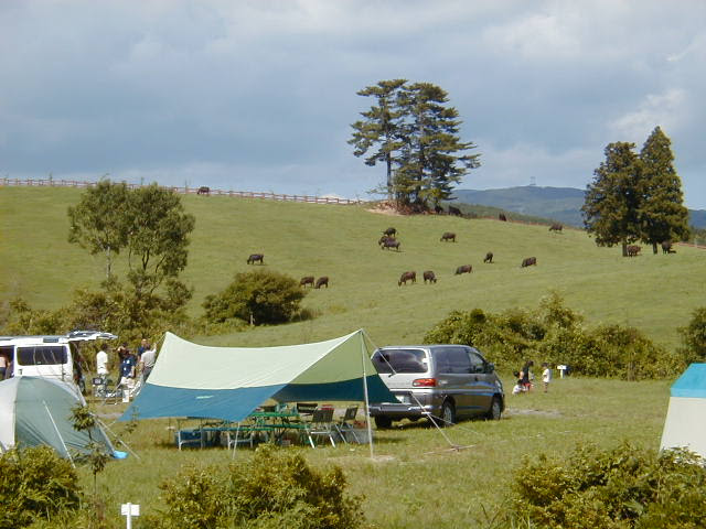 名古屋近郊 ペット同伴ｏｋ 東海地区キャンプ場