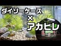 √70以上 メダカ 砂利 100均 173835