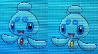 フィオネ Xy 色違いに釘付け