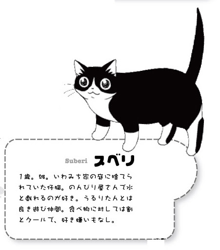 フィール ヤング いわみちさくら 本日の猫事情 最新刊発売記念