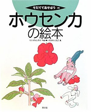ホウセンカの観察日記 Shobuno S Blog