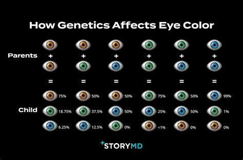  eye color chart genetics