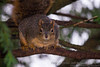 20110126-Watching up close