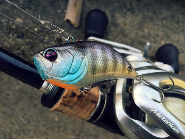 トップウォーターや巻き物で遊ぶ秋のバス釣り 淡路島野池釣行 Bassers High