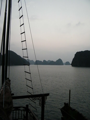 DSCF8849