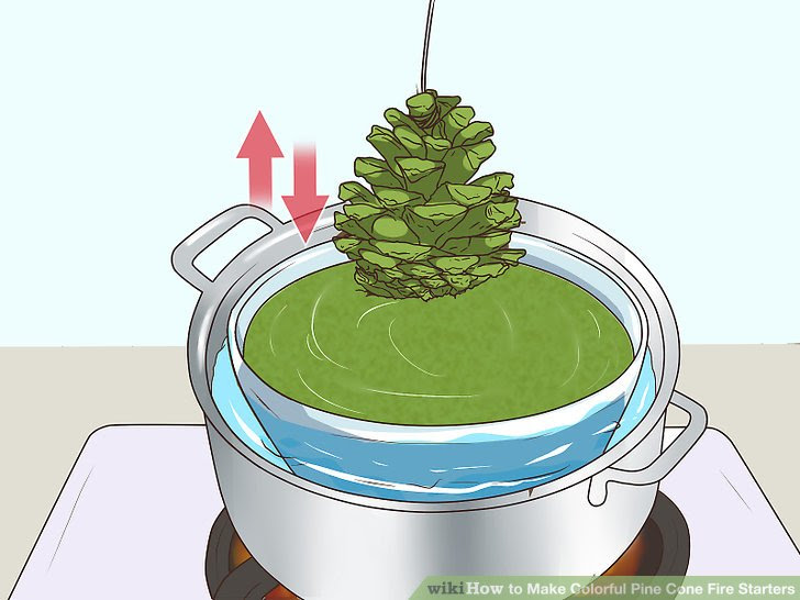 Make Colorful Pine Cone Fire Starters Step 7.jpg