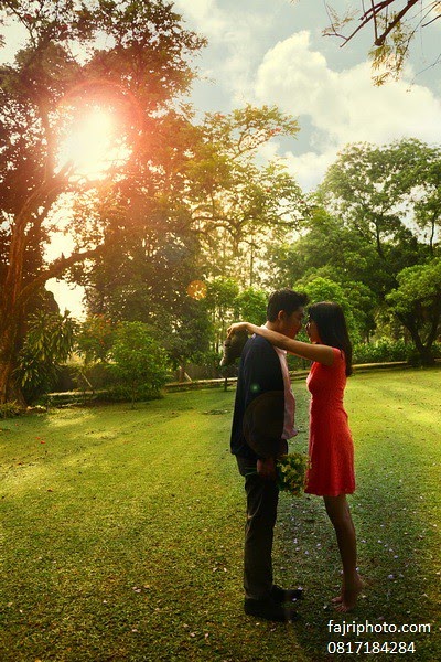 Wedding Romantis