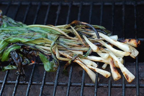 Fresh-picked ramps on the grill by Eve Fox, the Garden of Eating blog, copyright 2013
