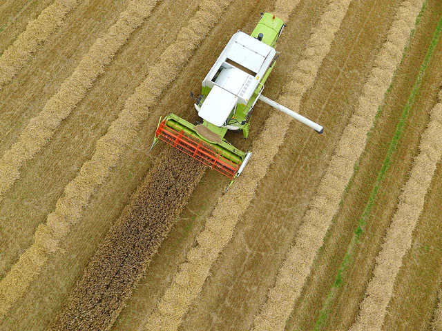 Moisson à Maizières (Calvados-FR)