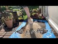セダム 土 配合 196076-セダム 土 配合