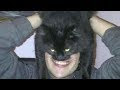 FUNNY FAIL COMPILATION that will cause you LAUGH ATTACK! - Laughing is guaranteed!
