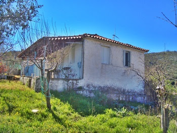 Low Priced Properties