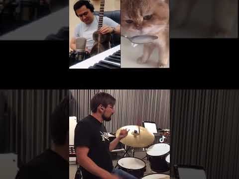 A Group of Musicians Provide a Lively Carnival Sideshow Soundtrack to the Noisy ‘Num Num Cat’