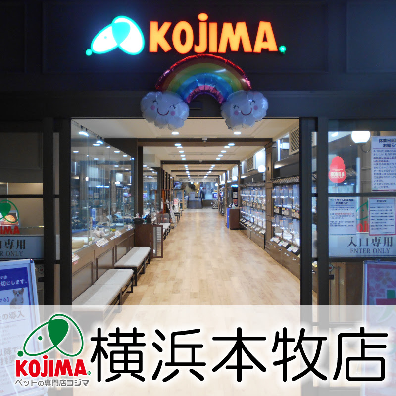 ペットの専門店コジマベイタウン横浜本牧店 日本最大級のペットタウン 充実のサービスが魅力のお店