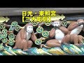 【人気ダウンロード！】 三猿 眠り 猫 976666