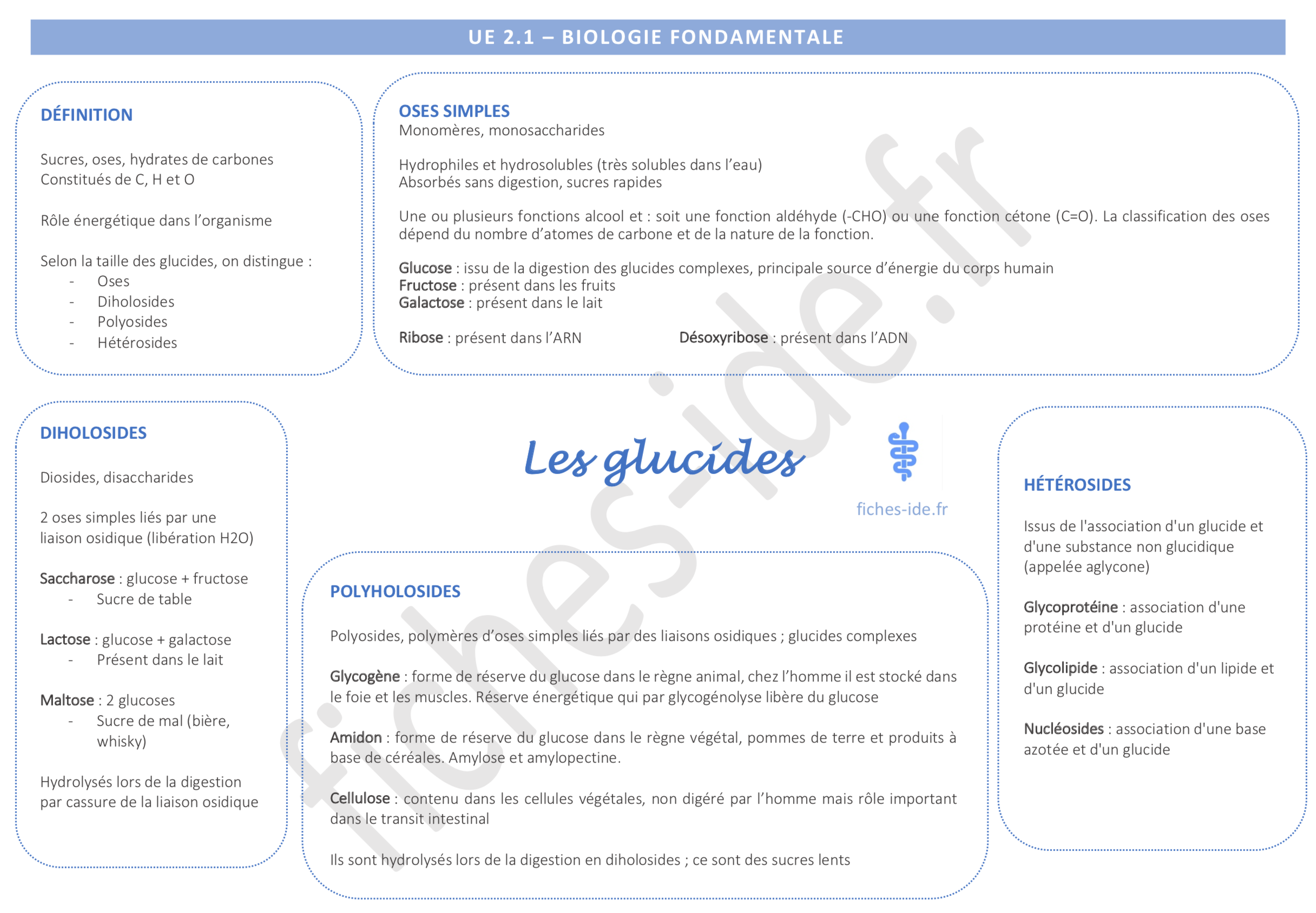Les Glucides Ue 2 1 Biologie Fondamentale Cours Ifsi Fiches Ide