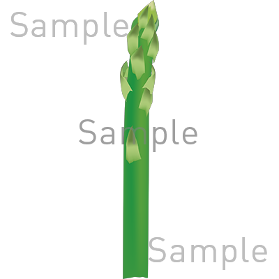 アスパラガスの無料イラスト素材 登録不要のイラストぱーく