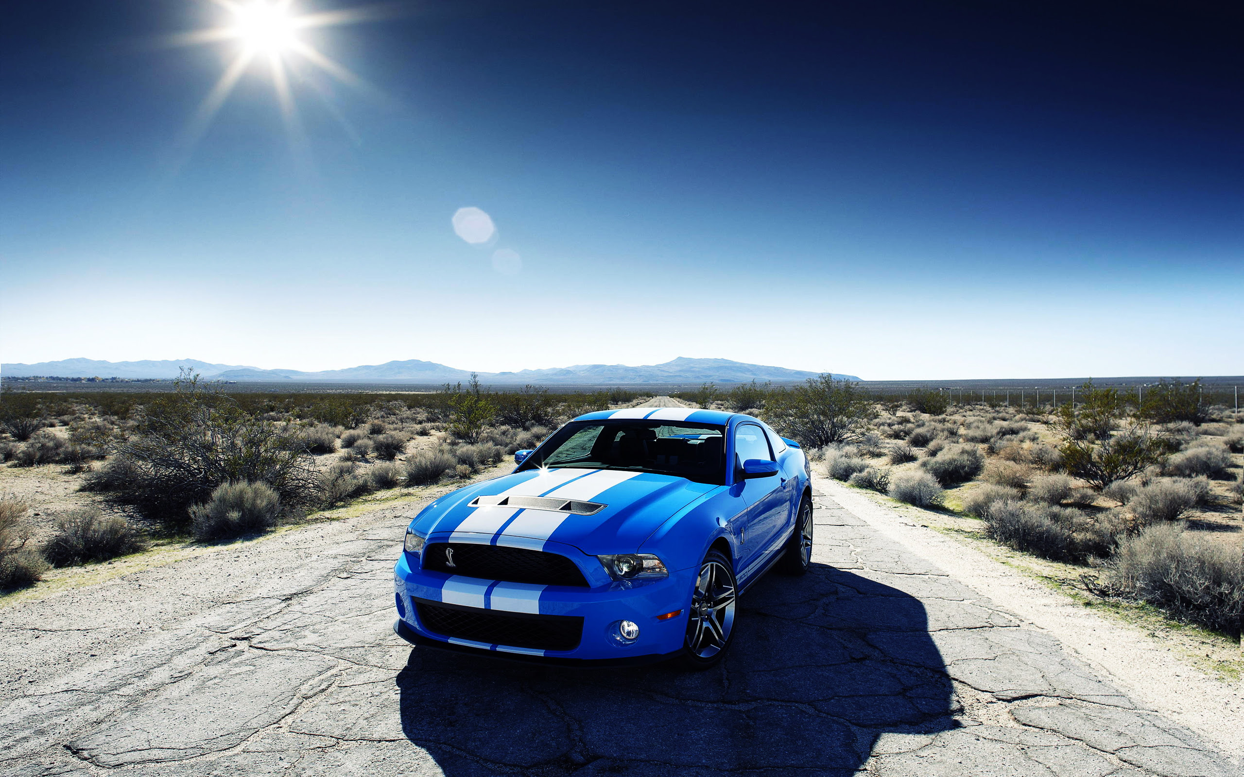 Ford Shelby GT500 Car - Cars
