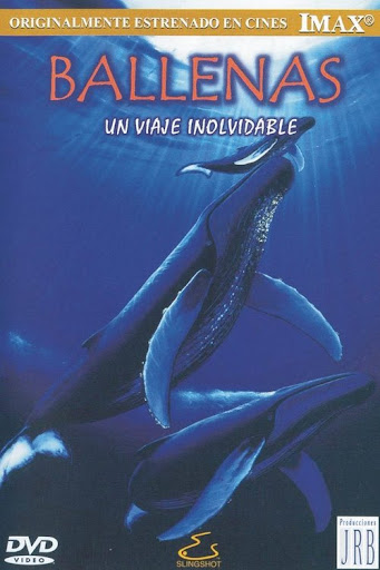 Kép