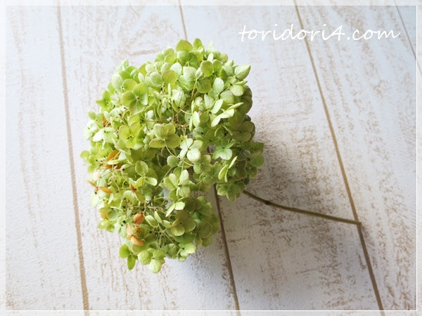 紫陽花 アナベル でドライフラワーを作りました とりどり